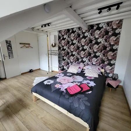 La Panthere Rose Appartement *