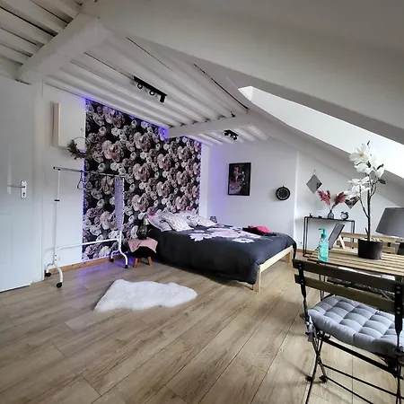 La Panthere Rose Appartement Honfleur