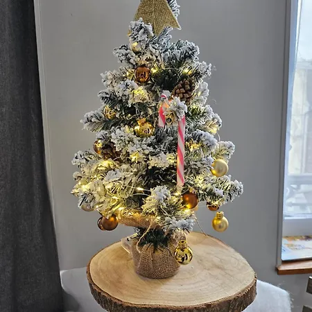 Appartement La Panthere Rose *