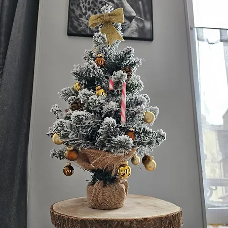 La Panthere Rose Appartement