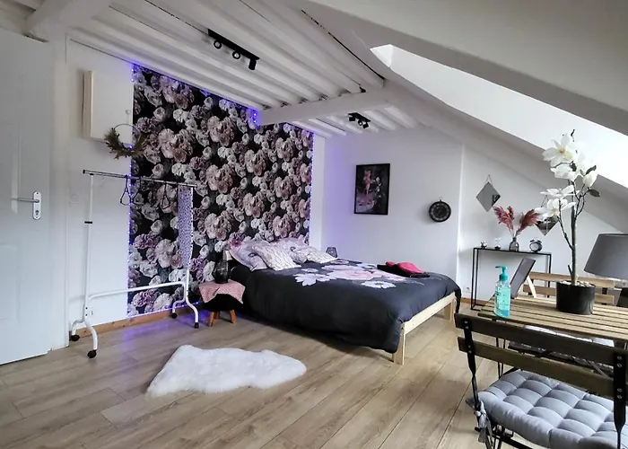 La Panthere Rose 아파트 옹플뢰르