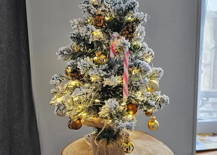 아파트 La Panthere Rose *