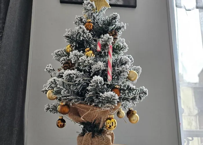 La Panthere Rose Apartamento